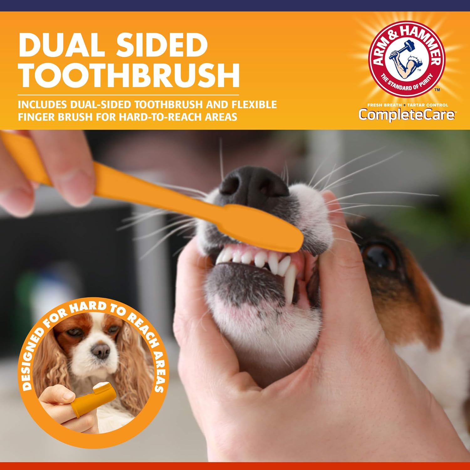 ARM & HAMMER COMPLETE CARE ADULT DOG DENTAL KIT CHICKEN FLAVOUR