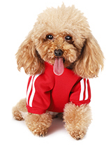 DOG HOODIE FOR SMALL-MEDIUM DOGS