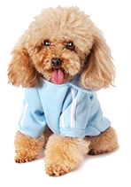 DOG HOODIE FOR SMALL-MEDIUM DOGS