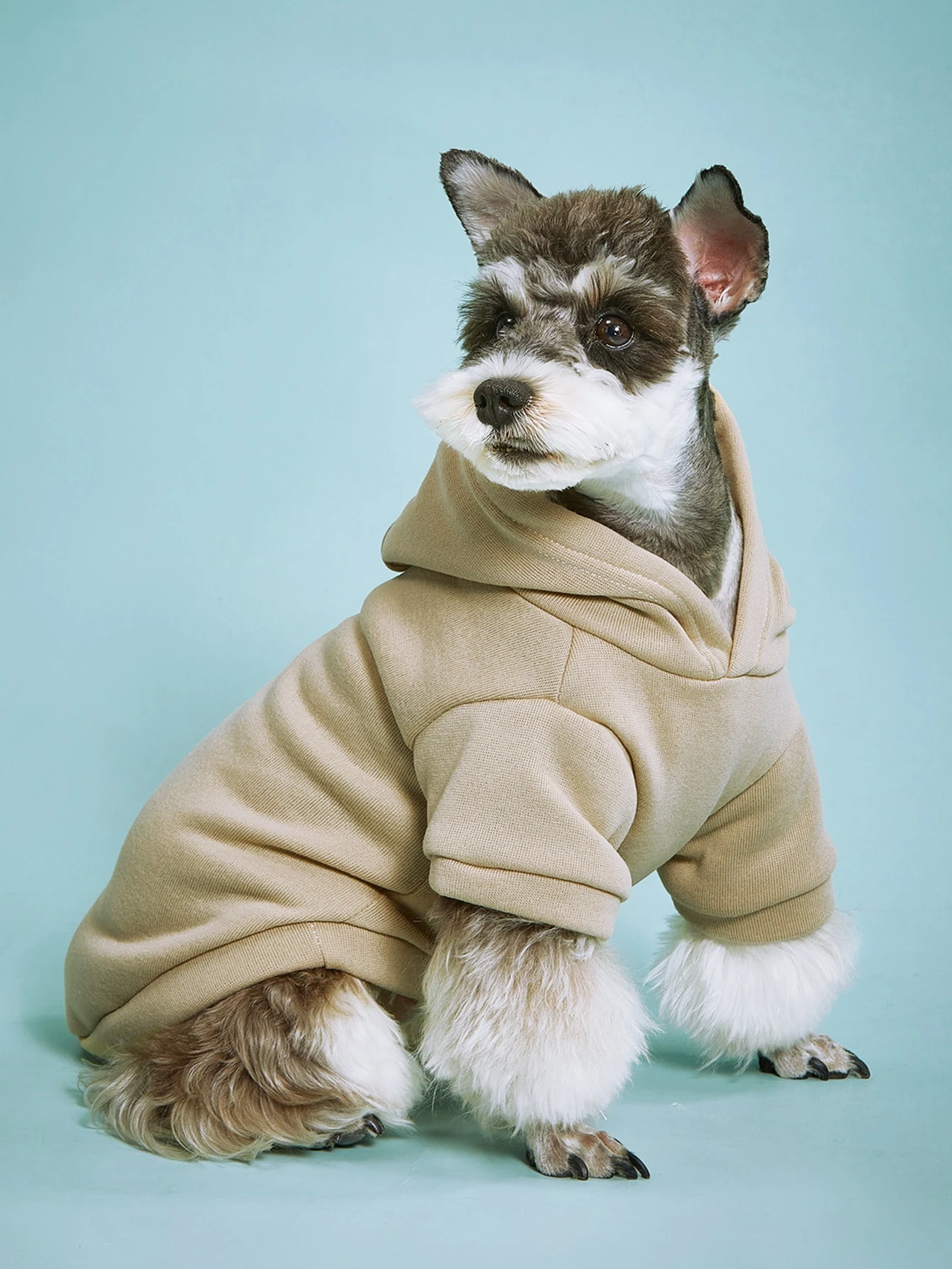 PETSIN SOLID COLOR DOG HOODIE