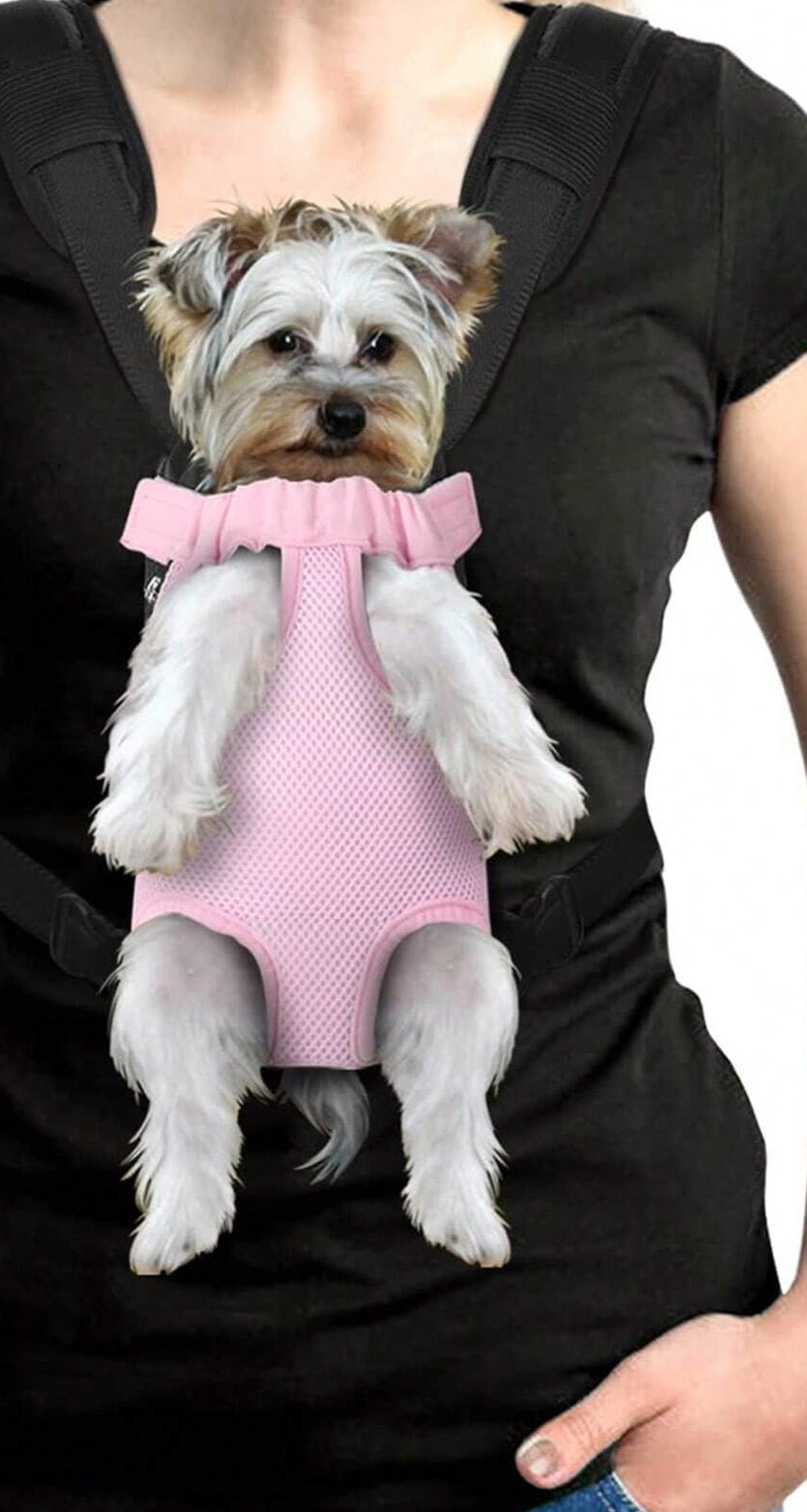 PET CARRIER FOR EVERYDAY TRAVEL